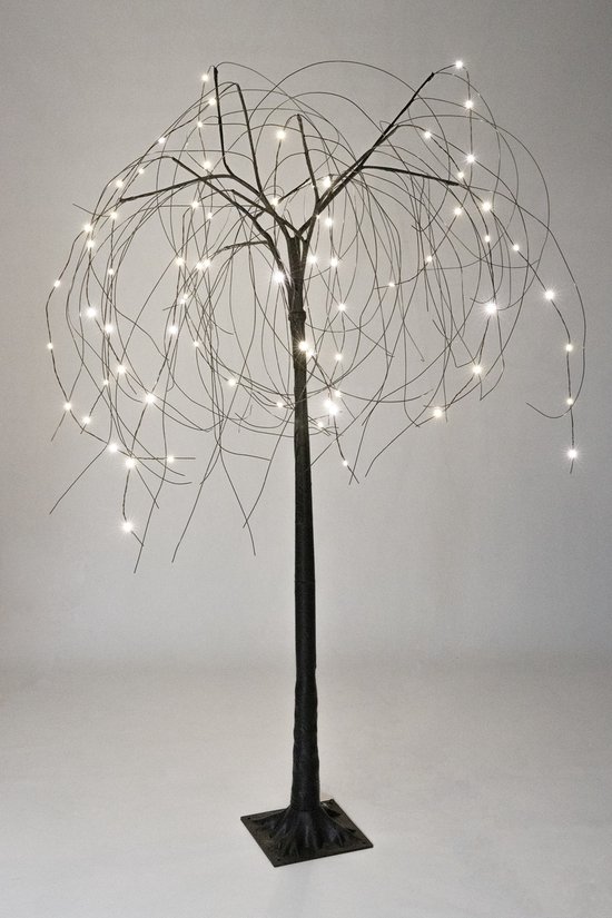 MaxxHome Kerstboom Lichttak Wilgenboom 80cm 72 LED Warmwit